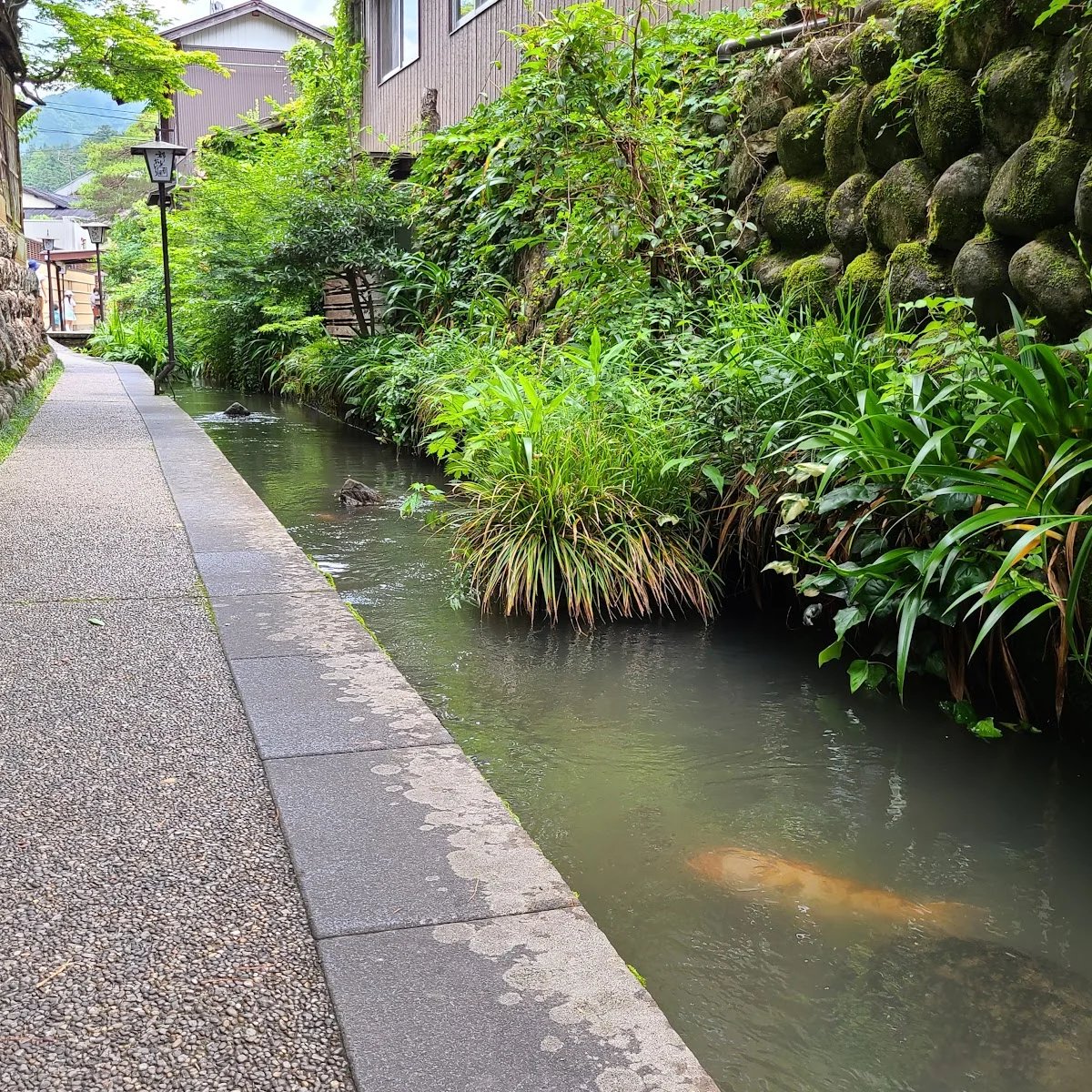 🏞️ 이가와 작은길(이가와 코미치) 이미지 5